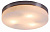 Потолочный светильник Opal 48403