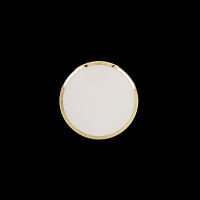 Потолочный светильник Луна CL702162W