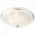 Потолочный светильник Lugo LUGO 142.6 R50 white