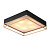 Потолочный светильник Chodo SL1127.422.05